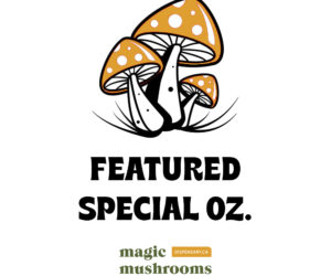 Featured Special Oz